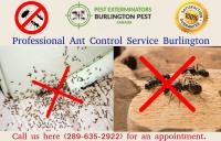 Pest Control Burlington image 8